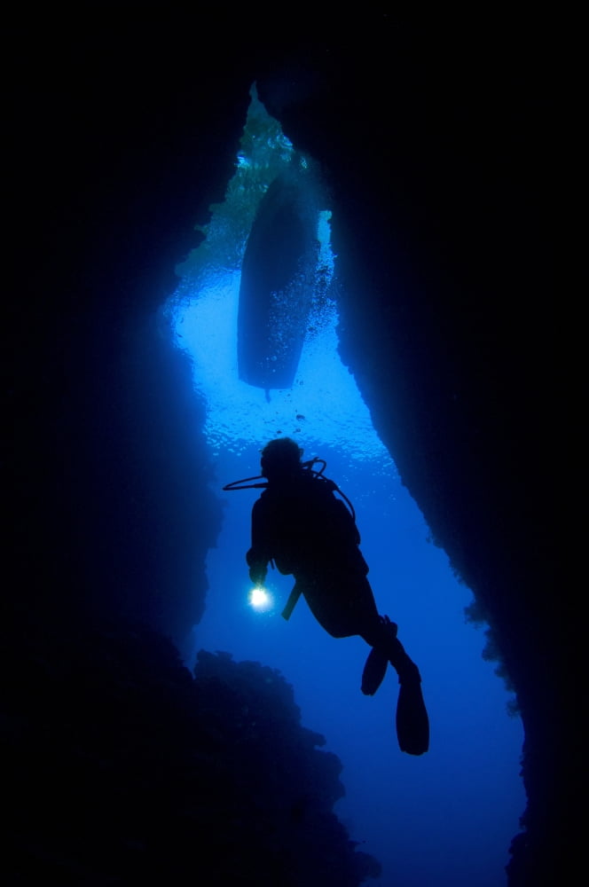 A diver explores an underwater cavern known as th Bat Cave Solomons Canvas Art - Steve JonesStocktrek Images (12 x 18)