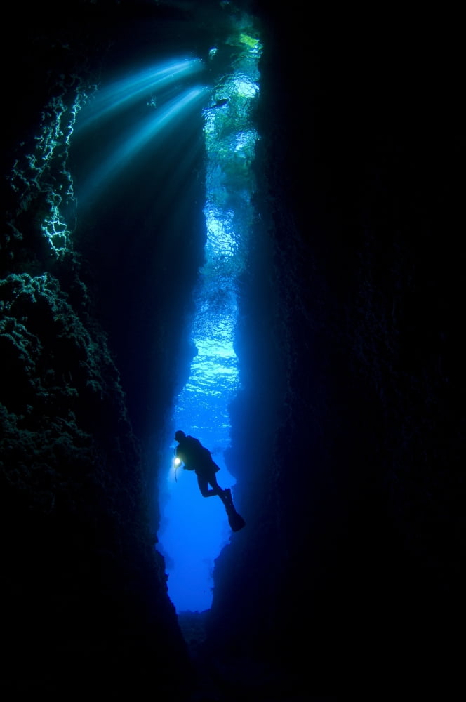 A diver explores the Lerus Cut underwater cavern Solomons Canvas Art - Steve JonesStocktrek Images (12 x 18)