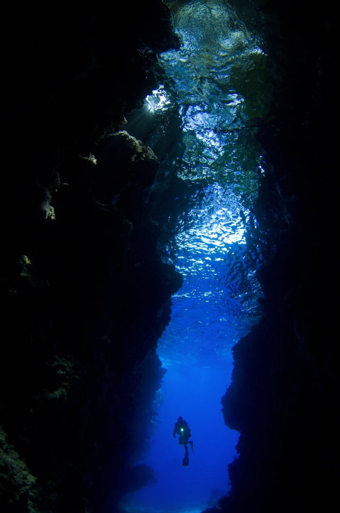 A diver explores the Lerus Cut underwater cavern Solomons Canvas Art - Steve JonesStocktrek Images (23 x 35)