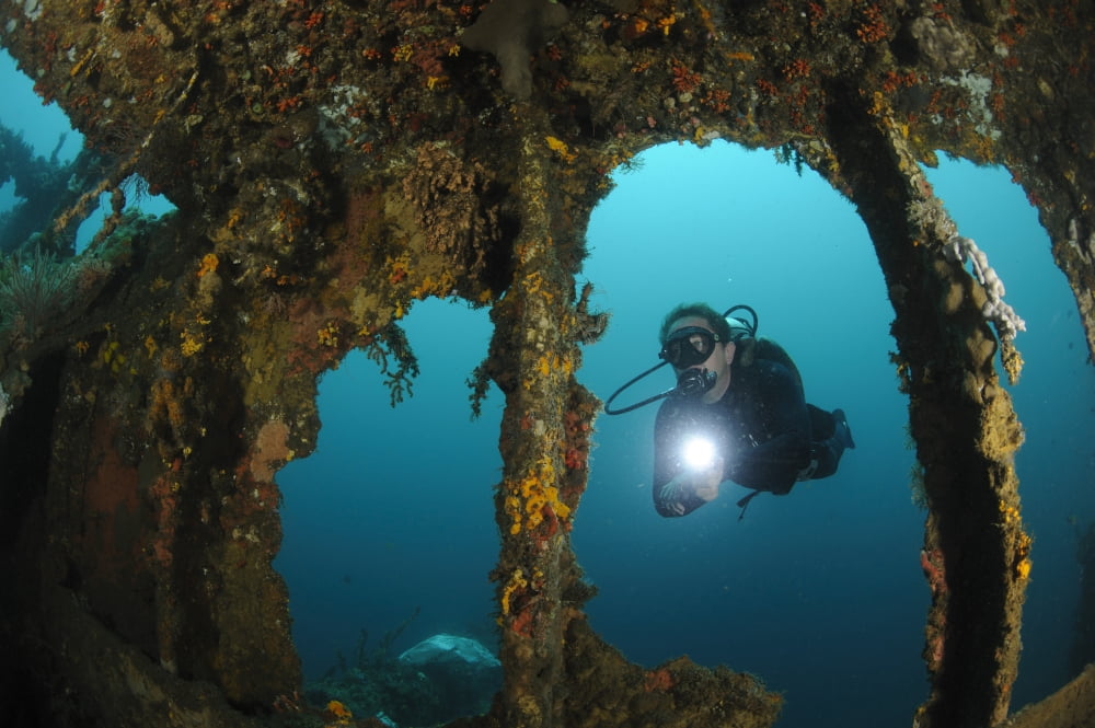 A diver explores the Mawali shipwreck Lembeh Strait Indonesia Canvas Art - Steve JonesStocktrek Images (18 x 12)