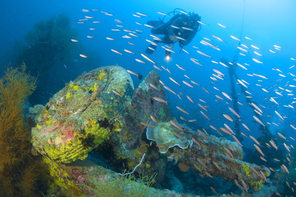A diver explores the wreck of a Japanese Maru warship Solomon Islands Canvas Art - Steve JonesStocktrek Images (18 x 12)