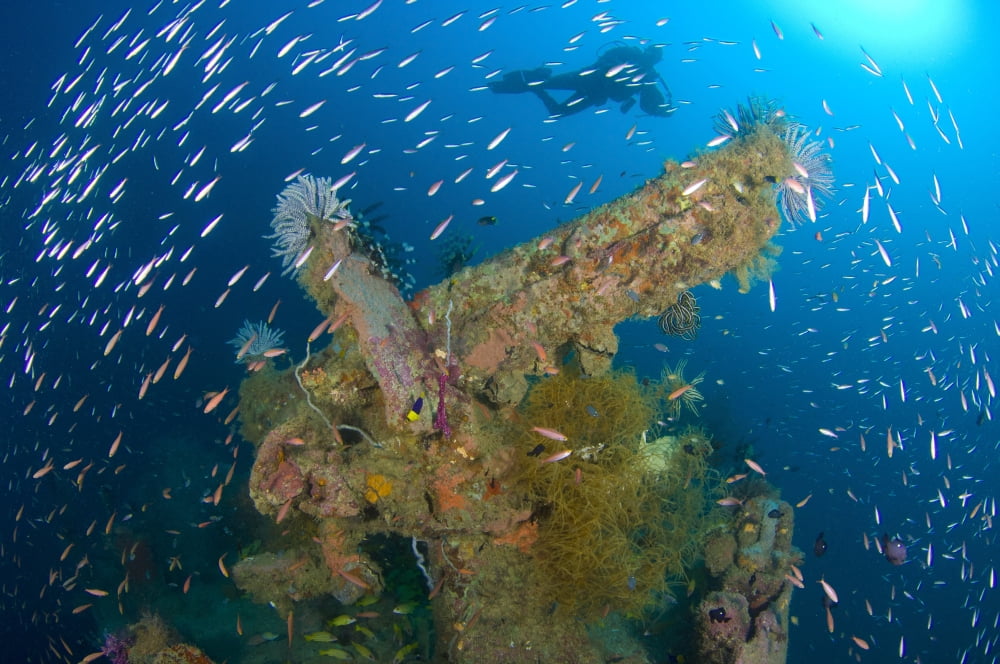 A diver explores the wreck of a Japanese Maru warship Solomon Islands Canvas Art - Steve JonesStocktrek Images (18 x 12)