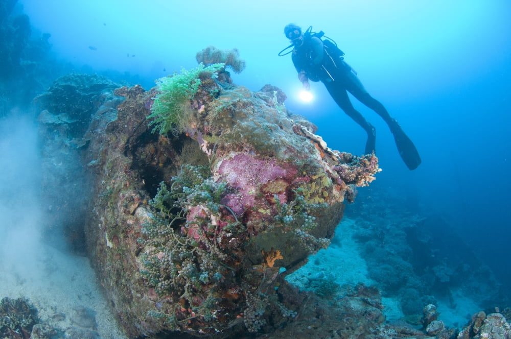 A diver explores the wreck of a US truck Solomon Islands Canvas Art - Steve JonesStocktrek Images (18 x 12)