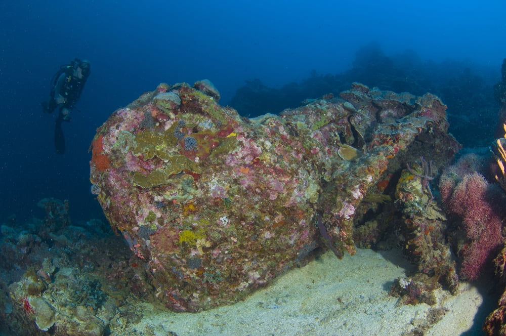 A diver explores the wreck of a US truck Solomon Islands Canvas Art - Steve JonesStocktrek Images (18 x 12)