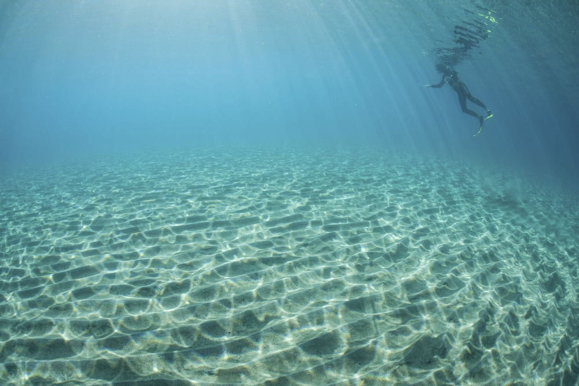 A diver hovers above a sandy slope off the island of Guadalcanal Canvas Art - Ethan DanielsStocktrek Images (34 x 23)