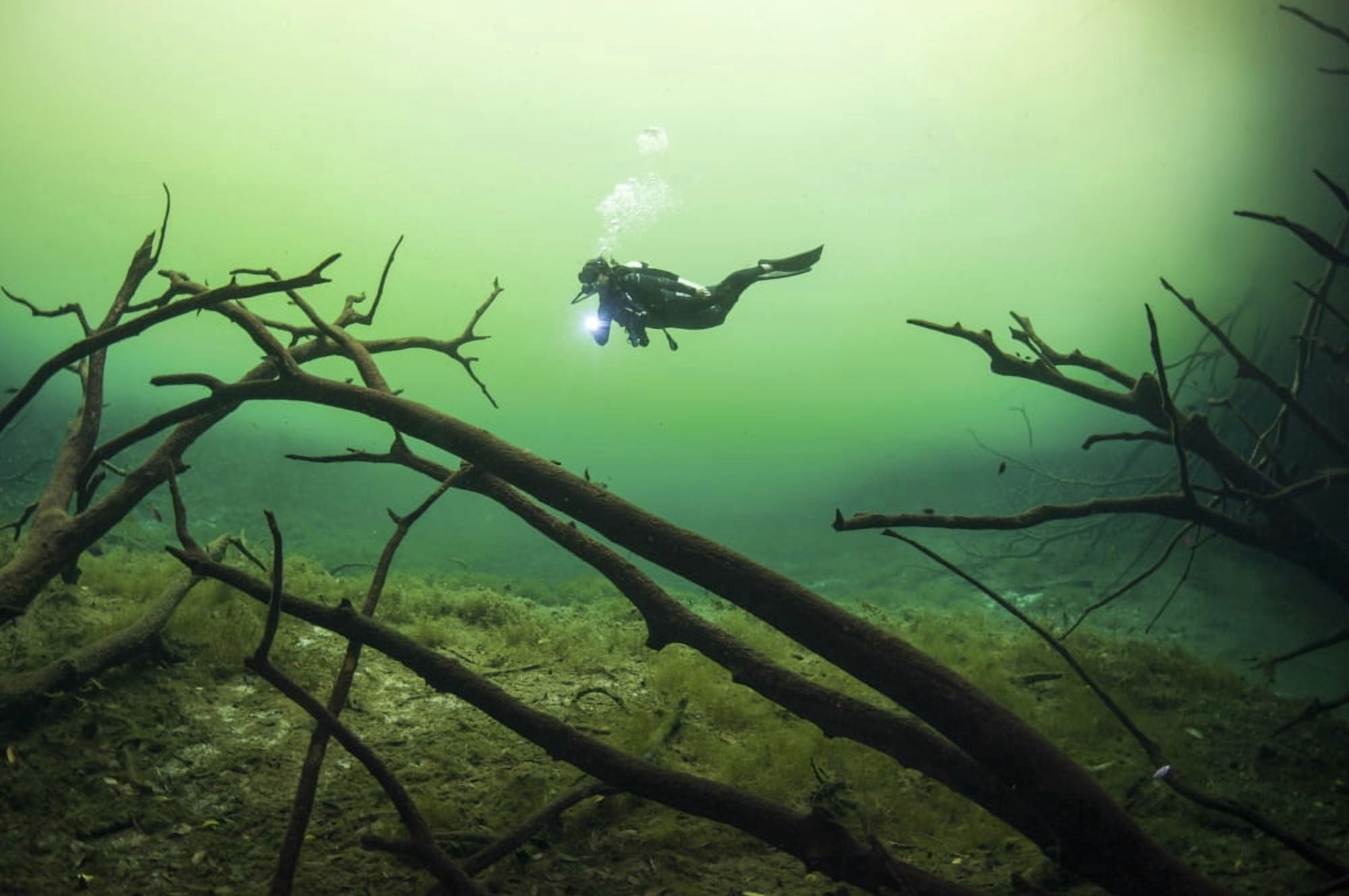 A diver in the Car Wash cenote system in Mexico Canvas Art - Karen DoodyStocktrek Images (18 x 12)