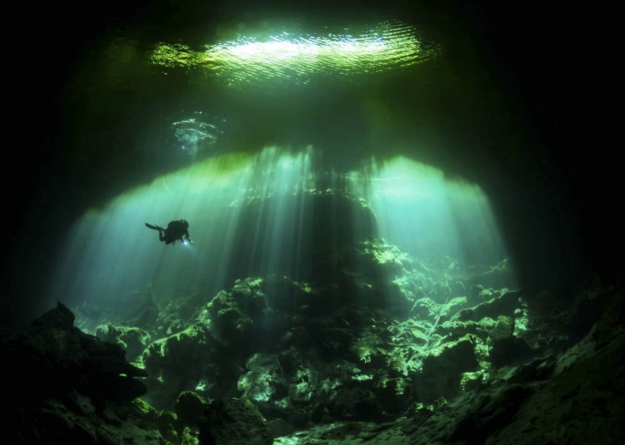 A diver in the Garden of Eden cenote system in Mexico Canvas Art - Karen DoodyStocktrek Images (17 x 12)