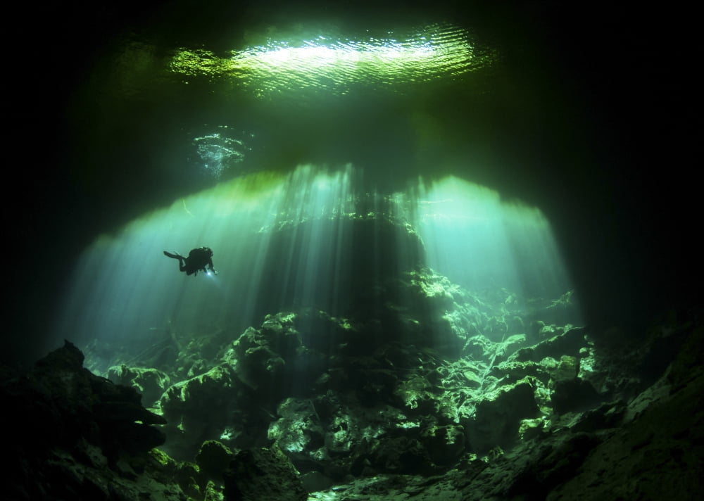 A diver in the Garden of Eden cenote system in Mexico Canvas Art - Karen DoodyStocktrek Images (34 x 24)