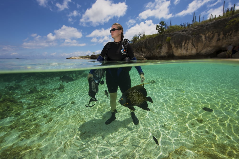 A diver looks out to sea while a French Angelfish swims around her Canvas Art - Terry MooreStocktrek Images (18 x 12)