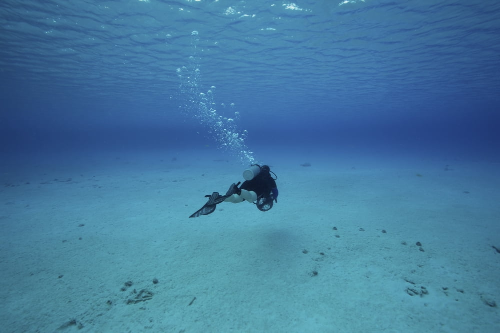 A diver on a scooter explores the clear blue waters of Toris Reef Bonaire Canvas Art - Terry MooreStocktrek Images (18 x 12)