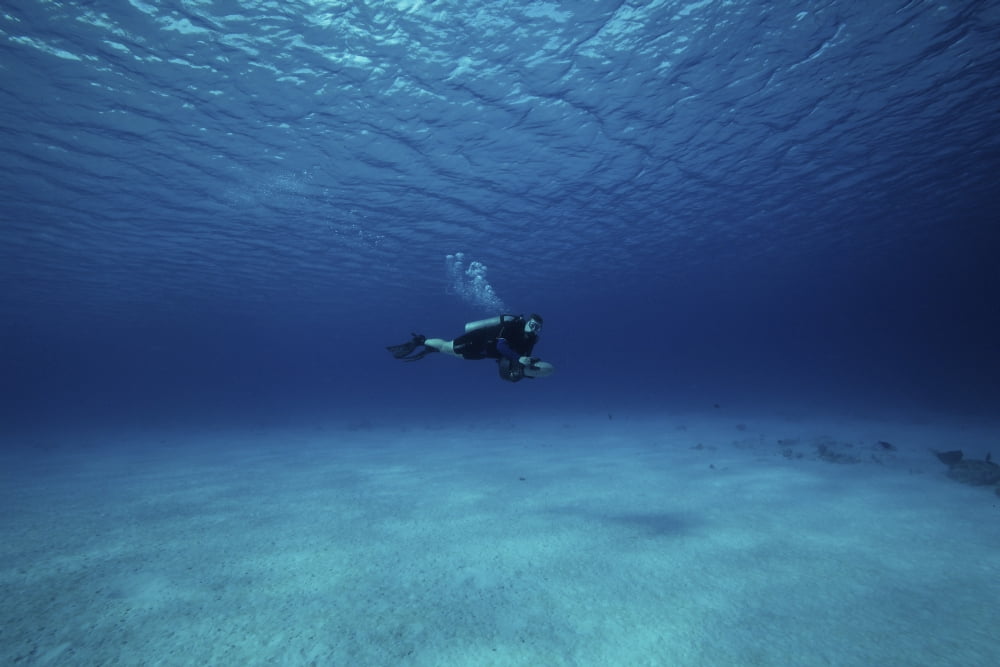 A diver on a scooter explores the clear blue waters of Toris Reef Bonaire Canvas Art - Terry MooreStocktrek Images (35 x 23)