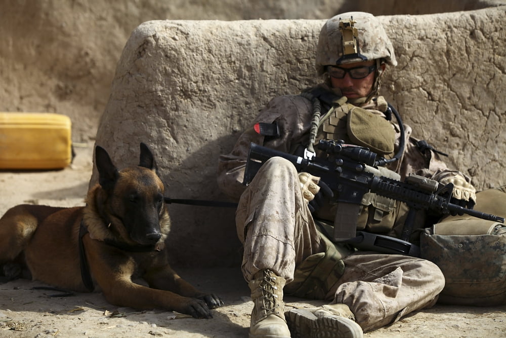 A dog handler and his military working dog take a break Canvas Art - Stocktrek Images (35 x 23)