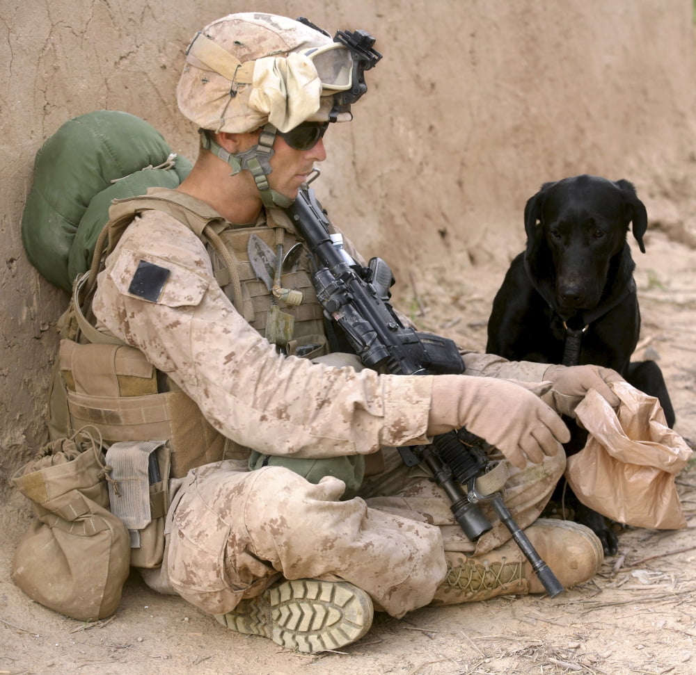 A dog handler gives water to his dog while on a patrol in Afghanistan Canvas Art - Stocktrek Images (28 x 28)