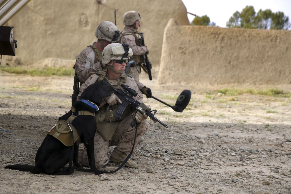 A dog handler provides security with his ID Dog by his side Canvas Art - Stocktrek Images (34 x 23)
