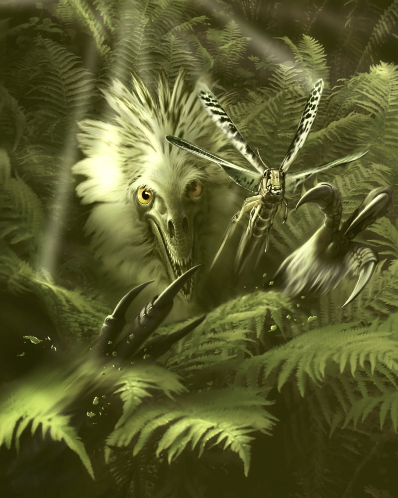 A dragonfly narrowly escapes the claws of a raptor Canvas Art - Jan SovakStocktrek Images (25 x 32)