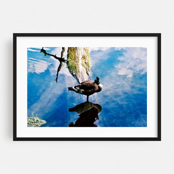 A duck at a psychedelic, colorful lakeside - Photography Bird Wildlife Nature Lake Water Scenic Animal Black Framed Wall Art Print 24 x 36 inches