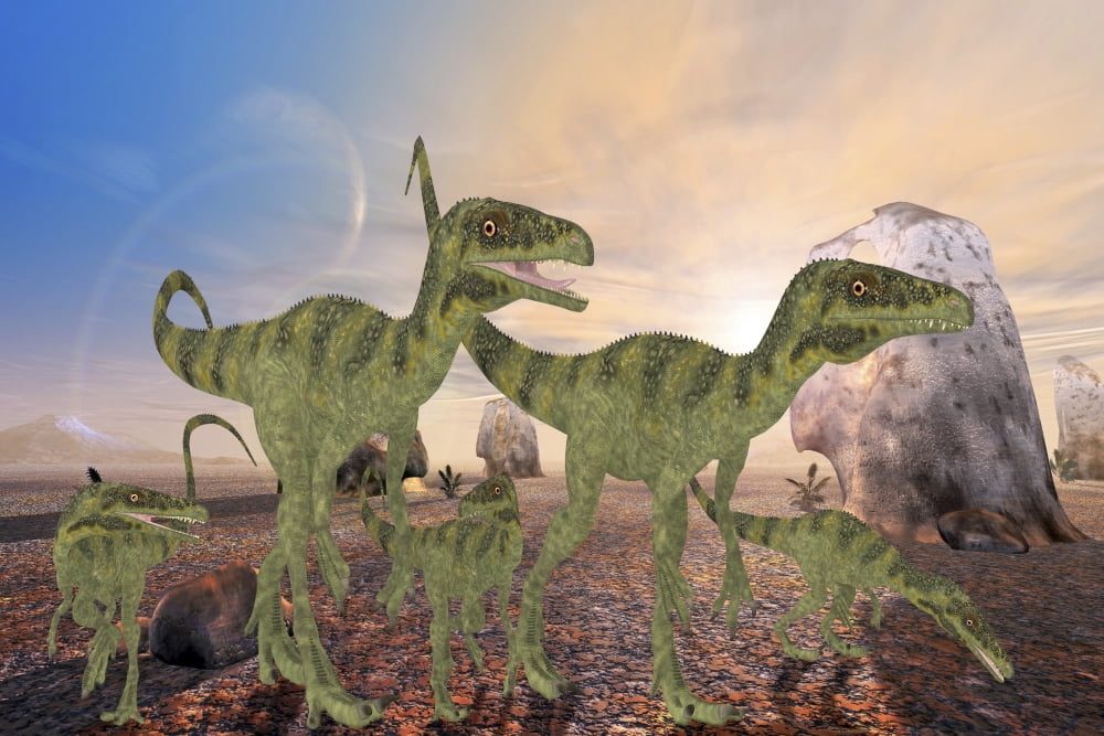A family of Juravenator dinosaurs cross a desert area hunting for prey Canvas Art - Corey FordStocktrek Images (34 x 23)