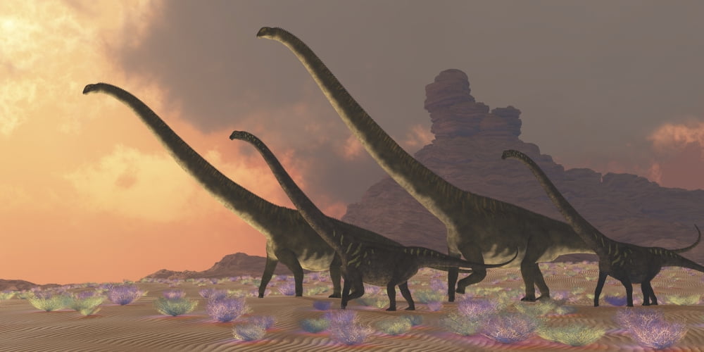 A family of Mamenchisaurus dinosaurs Canvas Art - Corey FordStocktrek Images (20 x 10)