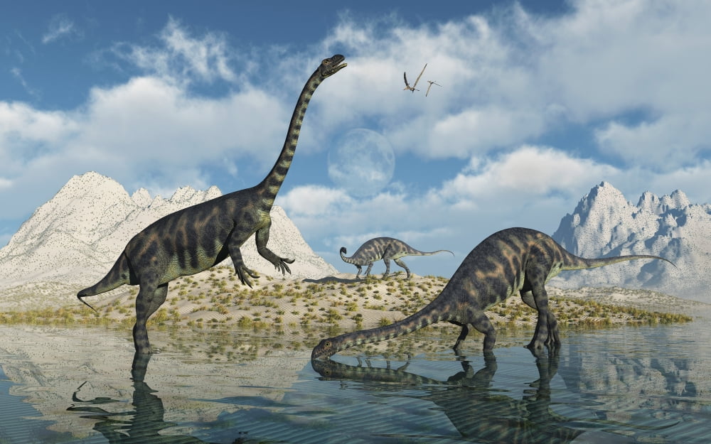 A family of Massospondylus at a watering hole Canvas Art - Mark StevensonStocktrek Images (18 x 12)