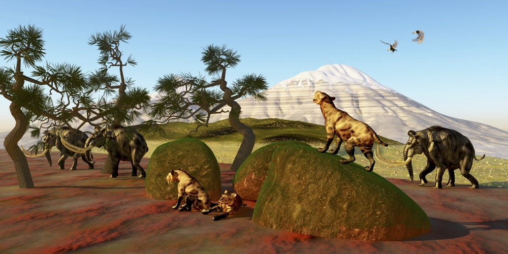 A family of Saber Toothed Tigers watch a herd of Woolly Mammoths Canvas Art - Corey FordStocktrek Images (20 x 10)