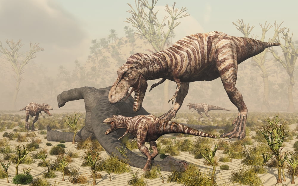 A family of T Rex dinosaurs feed on the carcass of a sauropod Canvas Art - Mark StevensonStocktrek Images (36 x 23)