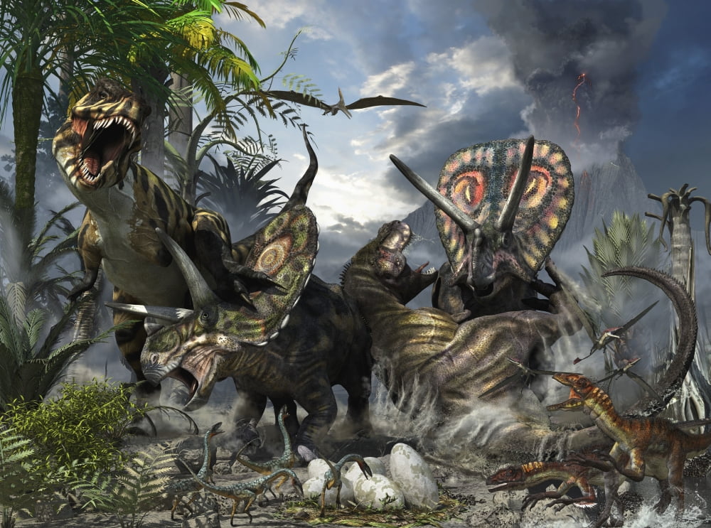 A family of Torosaurus protecting their eggs from a pair of Tyrannosaurus rex Canvas Art - Kurt MillerStocktrek Images (17 x 12)