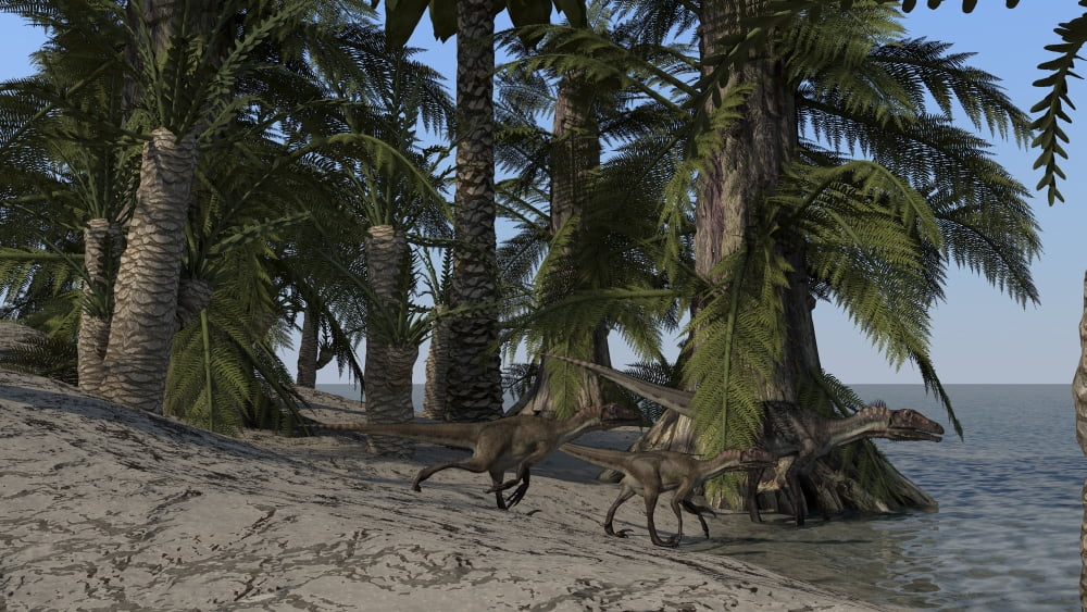 A family of Utahraptors along the shoreline Canvas Art - Kostyantyn IvanyshenStocktrek Images (19 x 11)
