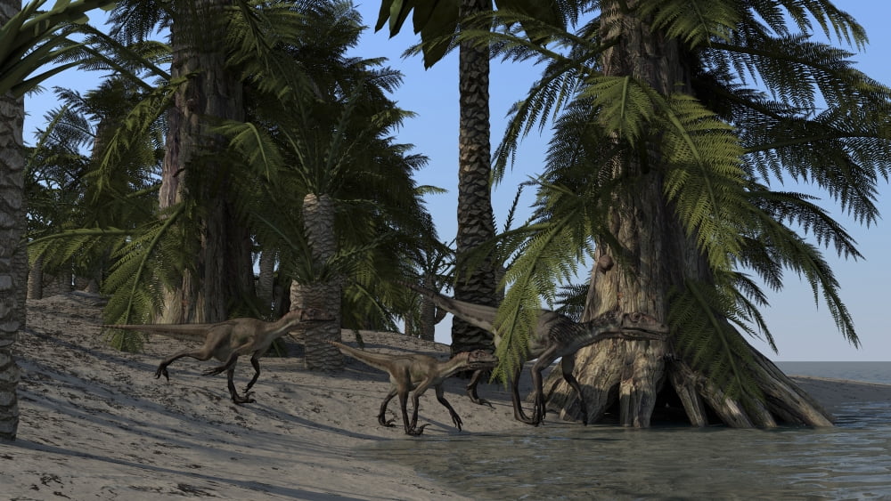 A family of Utahraptors along the shoreline Canvas Art - Kostyantyn IvanyshenStocktrek Images (38 x 22)