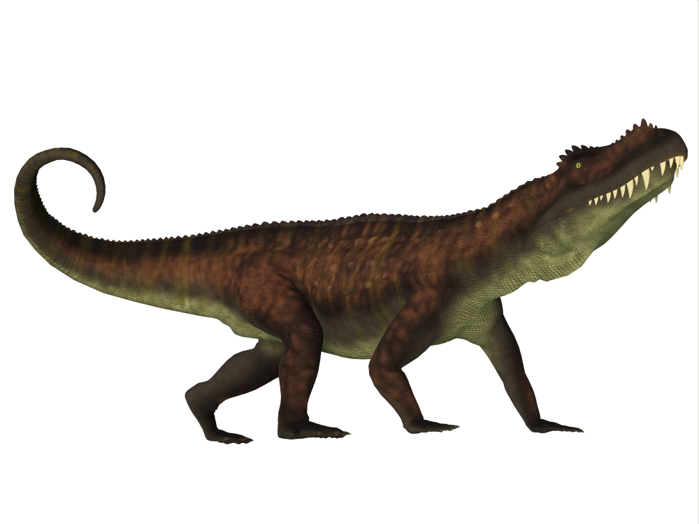 A fierce Prestosuchus dinosaur side view Canvas Art - Corey FordStocktrek Images (16 x 12)