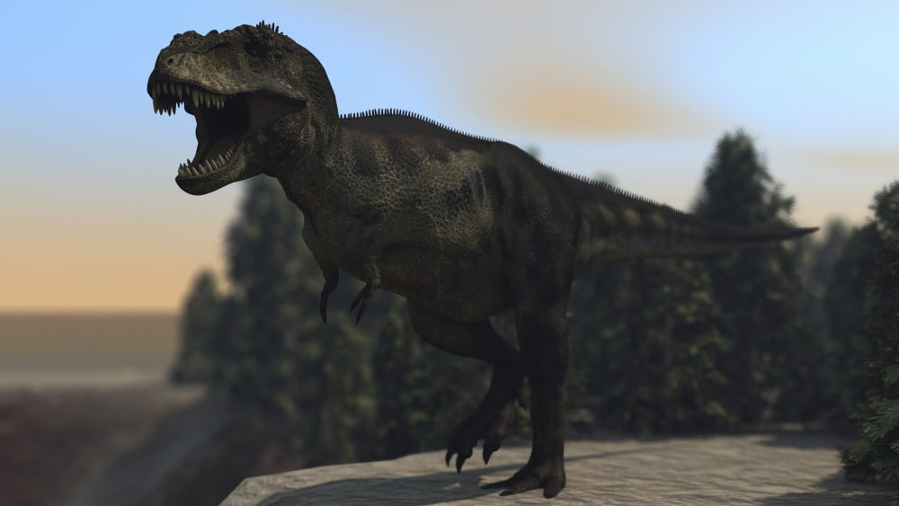 A fierce Tyrannosaurus Rex roaring Canvas Art - Kostyantyn IvanyshenStocktrek Images (19 x 11)