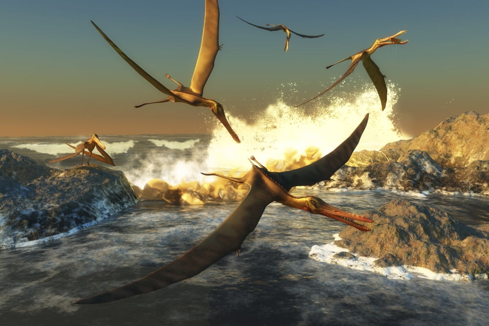 A flock of Anhanguera pterosaurs catch fish off a rocky coast Canvas Art - Corey FordStocktrek Images (18 x 12)