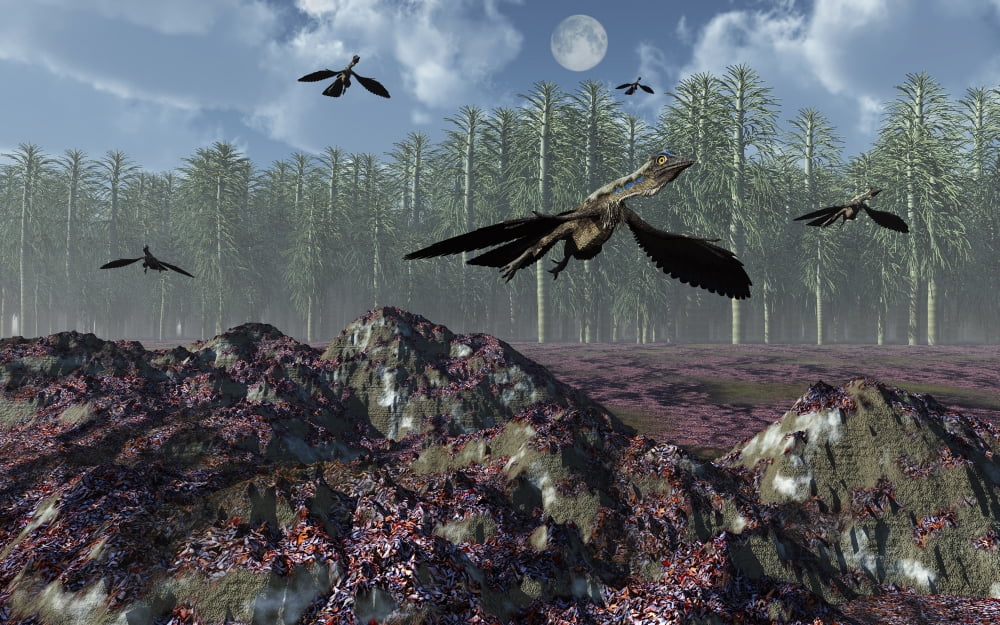 A flock of Archaeopteryx flying above a Jurassic landscape Canvas Art - Mark StevensonStocktrek Images (36 x 23)