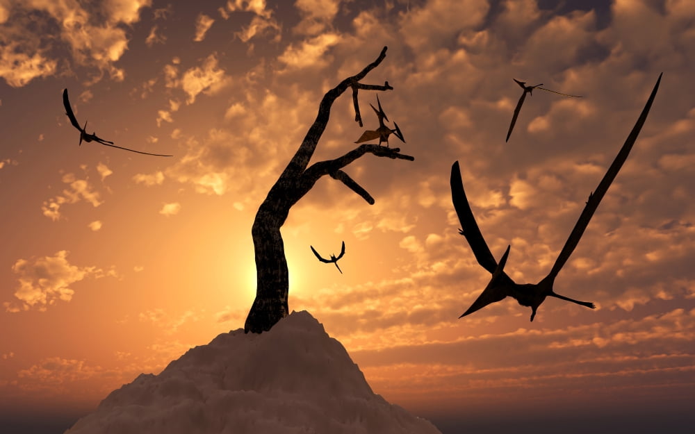 A flock of Pteranodons flying on a Cretaceous night Canvas Art - Mark StevensonStocktrek Images (36 x 23)