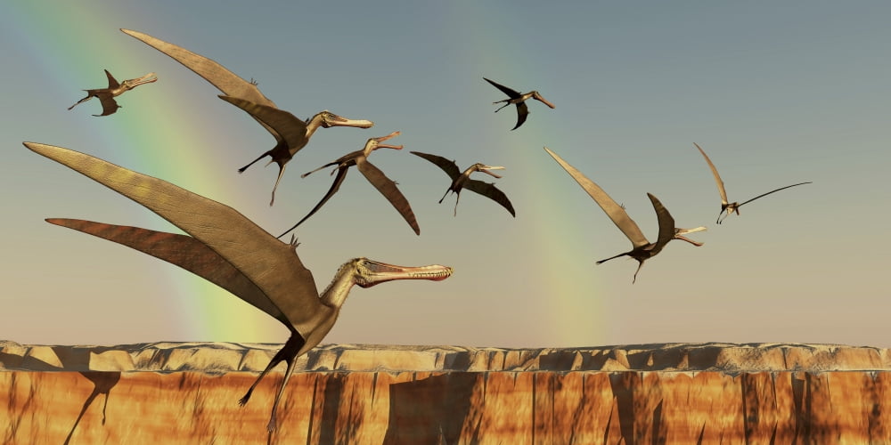 A flock of Pterodactyls fly out of a canyon Canvas Art - Corey FordStocktrek Images (40 x 20)
