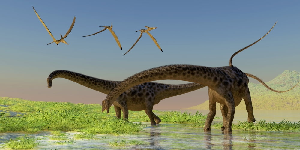 A flock of Pterosaur birds fly over two Diplodocus dinosaurs Canvas Art - Corey FordStocktrek Images (20 x 10)