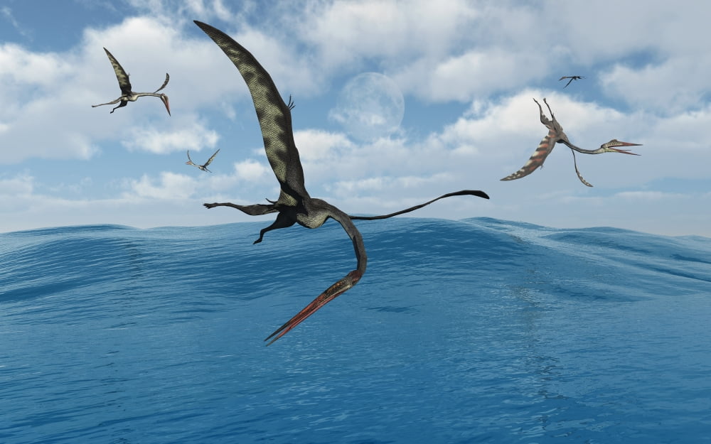 A flock of Quetzalcoatlus fishing Canvas Art - Mark StevensonStocktrek Images (18 x 12)