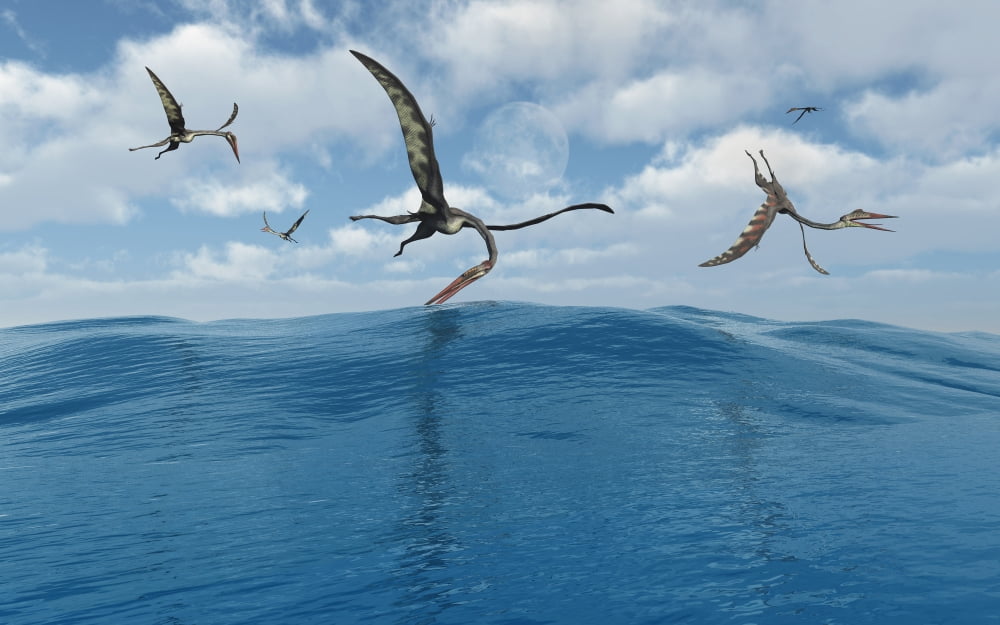 A flock of Quetzalcoatlus fishing Canvas Art - Mark StevensonStocktrek Images (36 x 23)