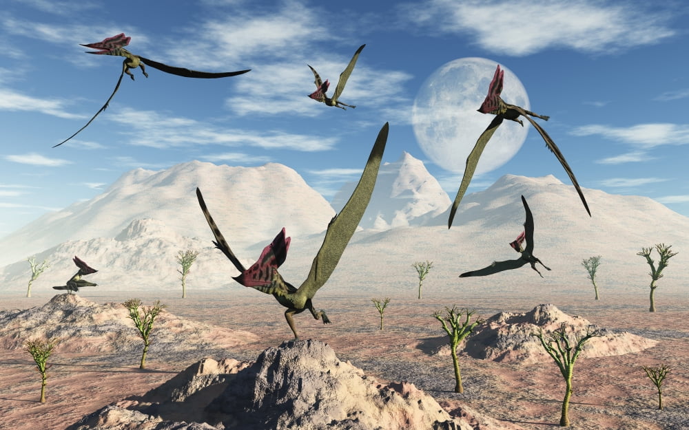 A flock of Thalassodromeus pterosaurs during Earths Cretaceous period Canvas Art - Mark StevensonStocktrek Images (36 x 23)