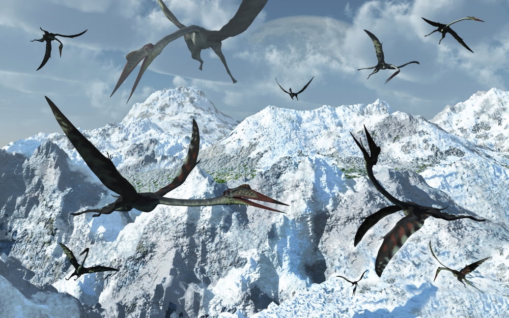 A flock of giant Quetzalcoatlus Canvas Art - Mark StevensonStocktrek Images (36 x 23)