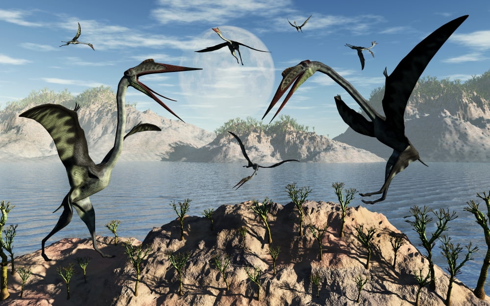 A flock of large Quetzalcoatlus pterosaurs in a Cretaceous landscape Canvas Art - Mark StevensonStocktrek Images (18 x 12)