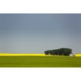 thumbnail image 1 of A flowering canola field in the distance framed by a green wheat field with a group of trees metal grain bins and blue 1, 1 of 3