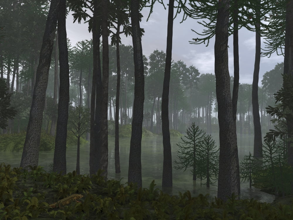 A forest of Cordaites and Araucaria Canvas Art - Walter MyersStocktrek Images (33 x 25)