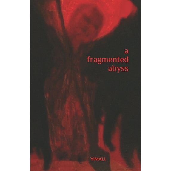A fragmented abyss (Paperback)