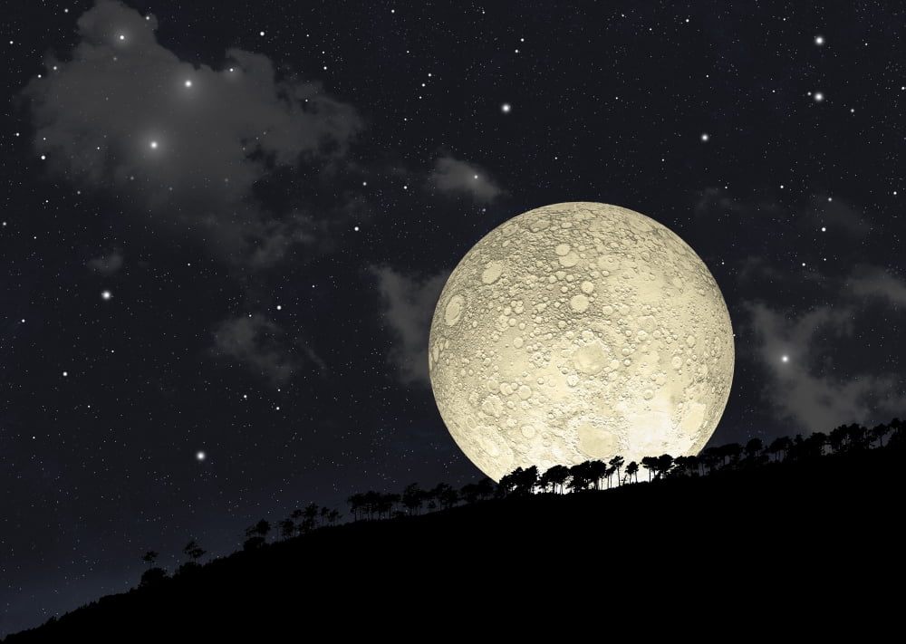 A full moon rising behind a row of hilltop trees Canvas Art - Marc WardStocktrek Images (17 x 12)
