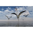 thumbnail image 1 of A gathering of large Quetzalcoatlus pterosaurs. Poster Print by Mark Stevenson/Stocktrek Images, 1 of 2