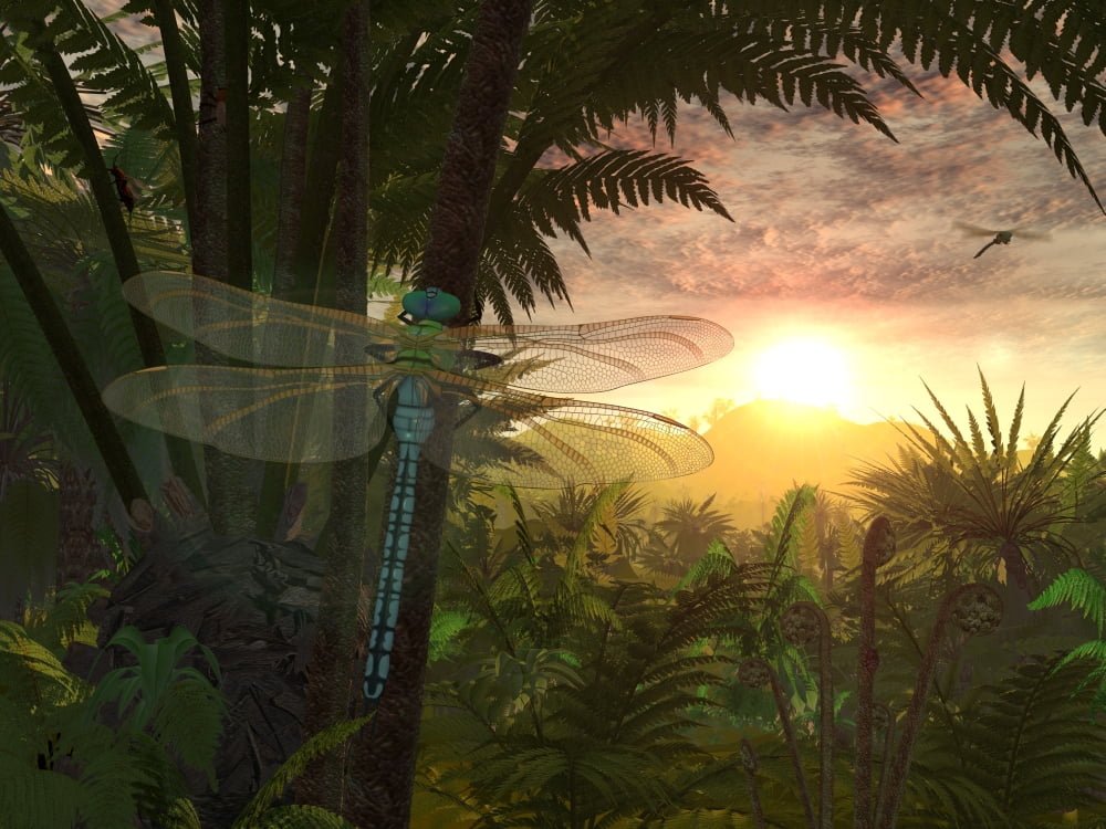 A giant Meganeura with a 30-inch wingspan witnesses a sunrise Canvas Art - Walter MyersStocktrek Images (17 x 13)