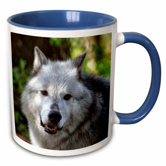 A gray wolf with this odd expression on his face 15oz Two-Tone Blue Mug mug-160973-11