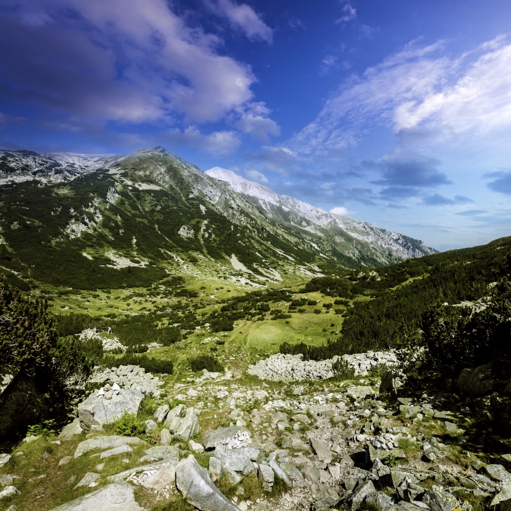 A green valley through Pirin Mountains Pirin National Park Bulgaria Canvas Art - Evgeny KuklevStocktrek Images (29 x 29)