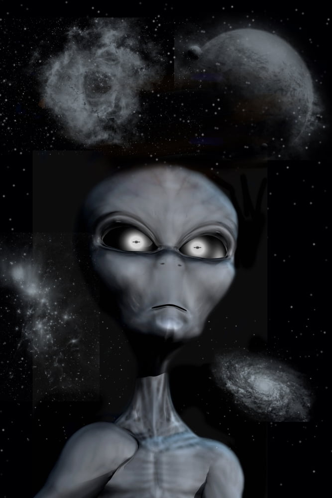 A grey alien Canvas Art - Mark StevensonStocktrek Images (12 x 18)