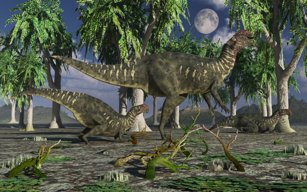 A group of Altirhinus dinosaurs Canvas Art - Mark StevensonStocktrek Images (18 x 12)